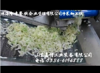 珠海隆幸餐饮净菜加工线